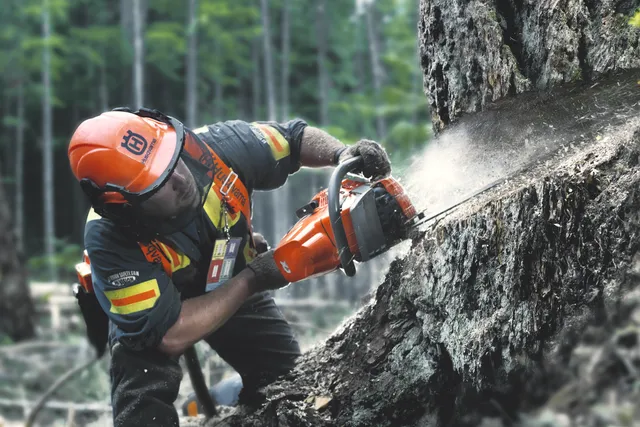 Husqvarna 560 XP Pilarka spalinowa łańcuchowa automatyczna regulacja silnika AutoTune Husqvarna 560 XP Pilarka spalinowa łańcuchowa automatyczna regulacja silnika AutoTune